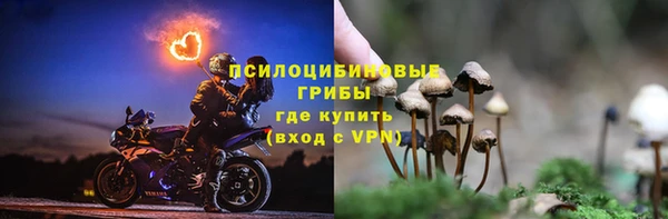 метамфетамин Козловка